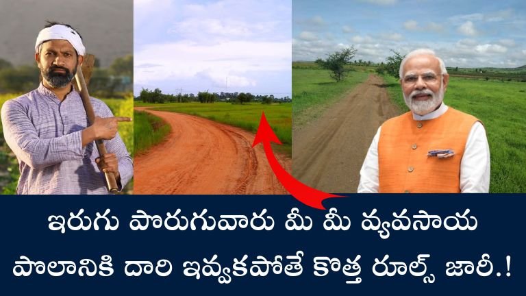 Agriculture Land (1)