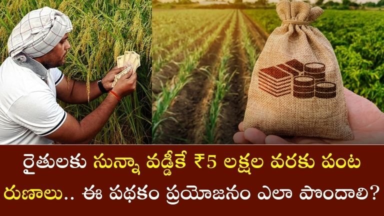 Farmers crop loans