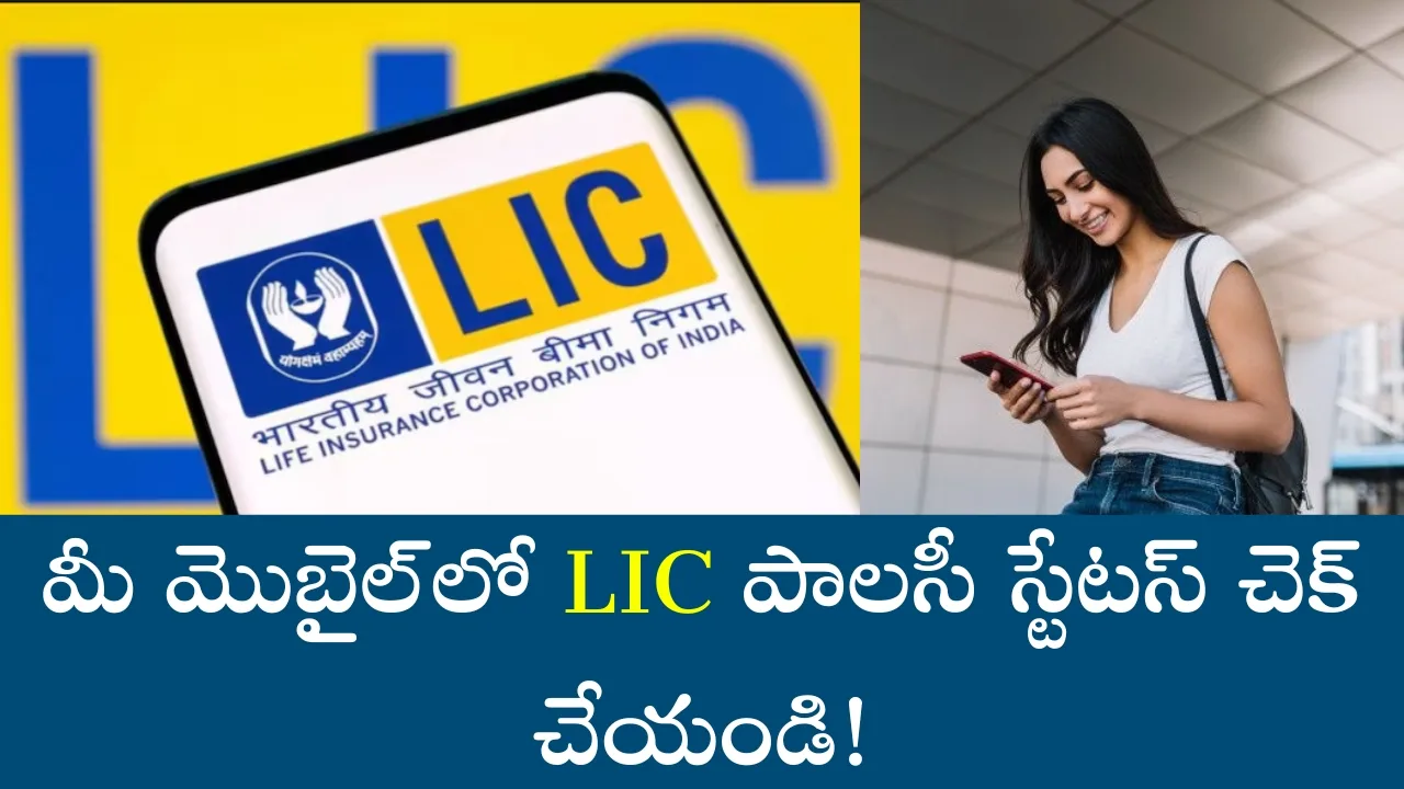 LIC Policy Status